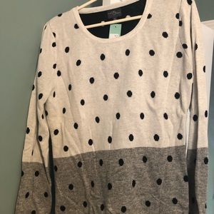 NWT Market & Spruce Mainy Pullover Sweater